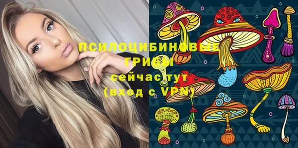 шишки Абинск