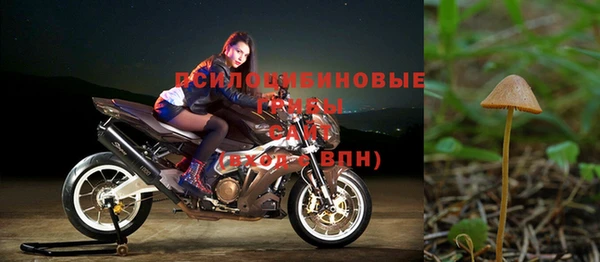 сатива Алексеевка